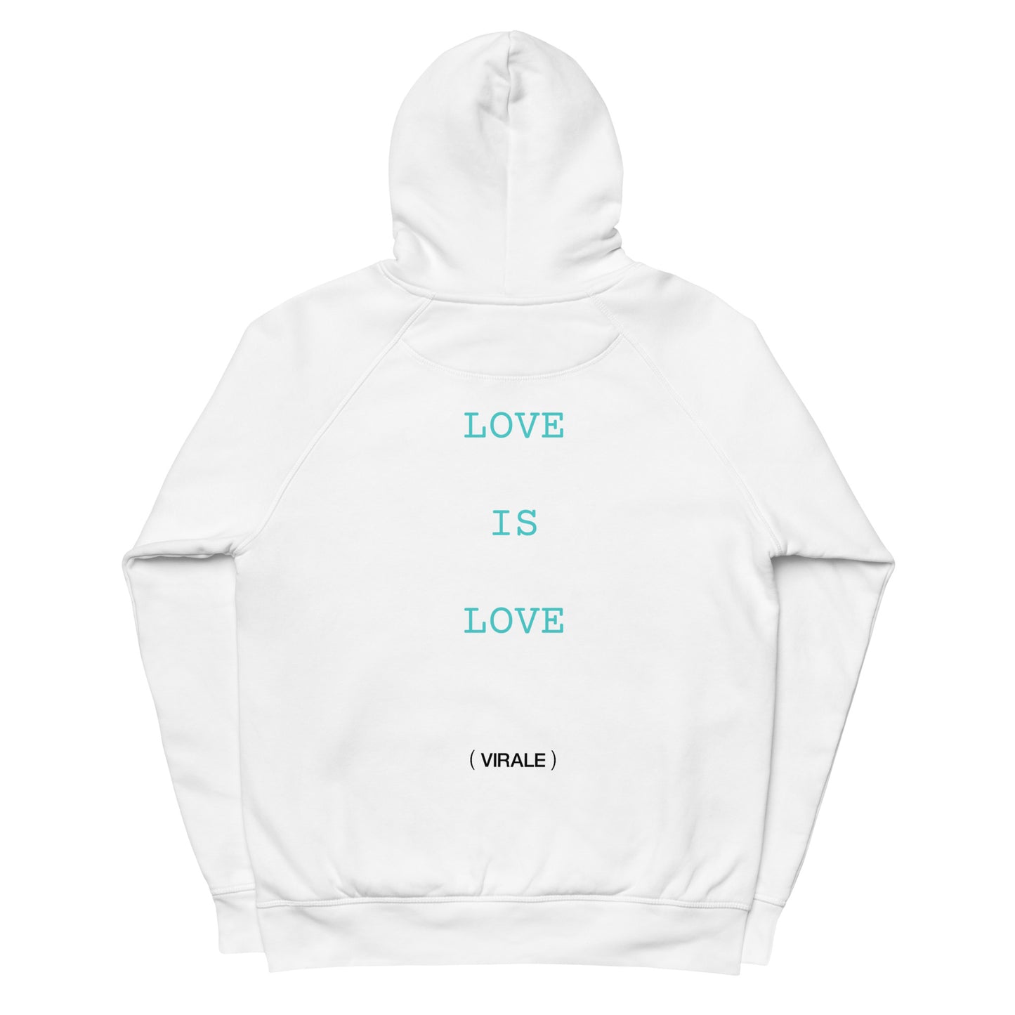 Unisex pullover hoodie (LOVE IS LOVE) Wednesday